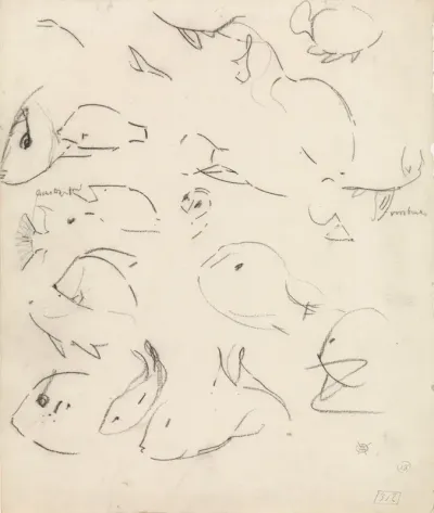Contourstudies van vissen