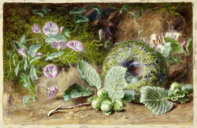 Convobuli and Nest