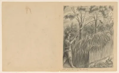 Coolen verjaagt vogels uit de rijstvelden, ca. 1820-1850