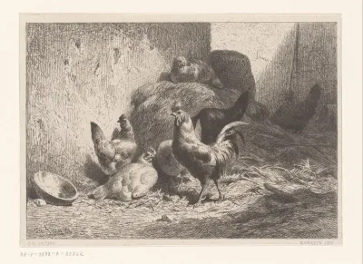 Coq et poules