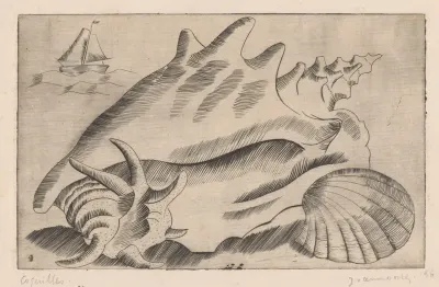 Coquilles