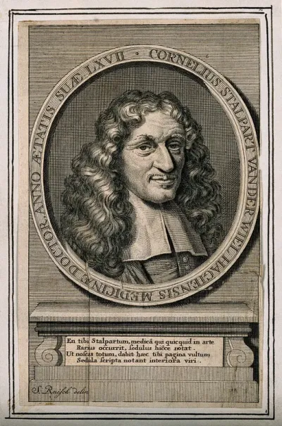 Cornelis Stalpart van der Wiel