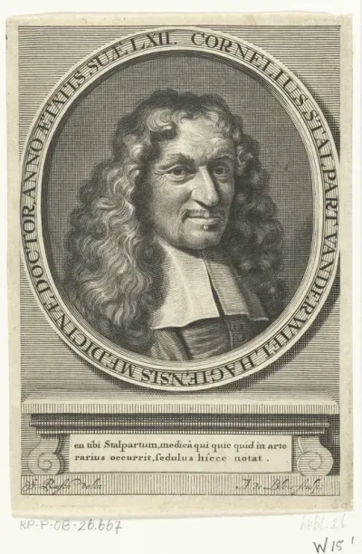 Cornelis Stalpart vander Wiel