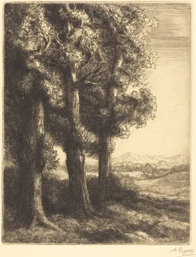 Corner of a Wood (Coin d'un bois)