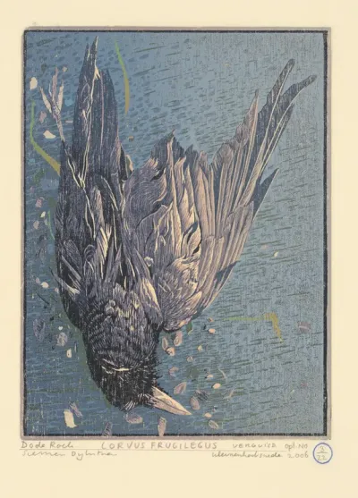 Corvus Frugilegus