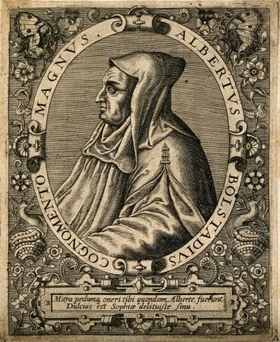 Count Albert Bollstaedt (Saint Albertus Magnus)