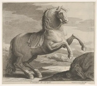 Coursier de Naple