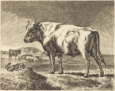 Cow