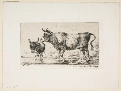 Cow and Ass