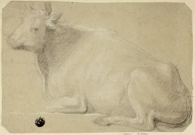 Cow Lying on Haunches