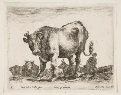 Cow, plate 8 from "Various Animals" (Diversi Animali)
