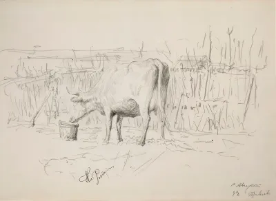 Cow, Zdravnevo