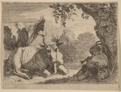 Cows
