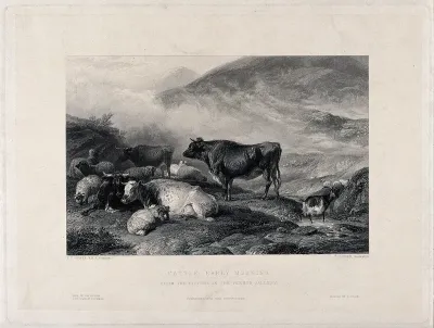 Cows and sheep by an upland stream with a goat standing in the water