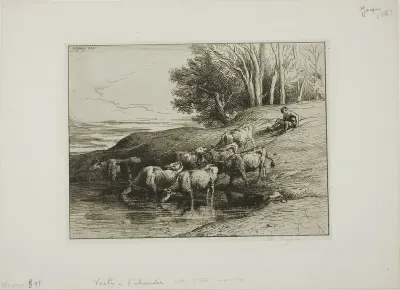 Cows at the Watering Place