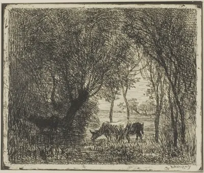 Cows in a Wood
