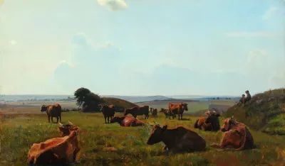 Cows in the field.