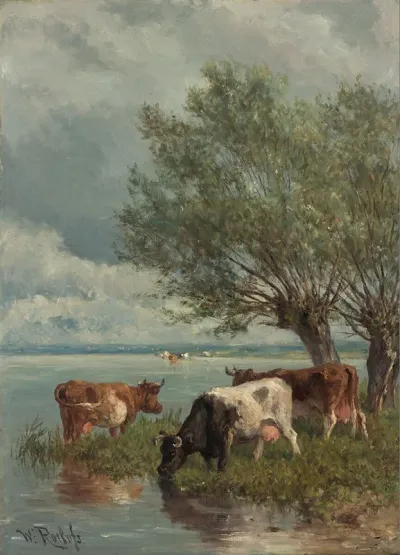 Cows near Water