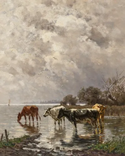 Cows on Lakeshore
