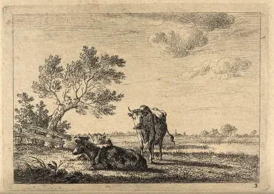 Cows standing and lying in a field