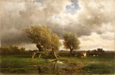 Cows under trees