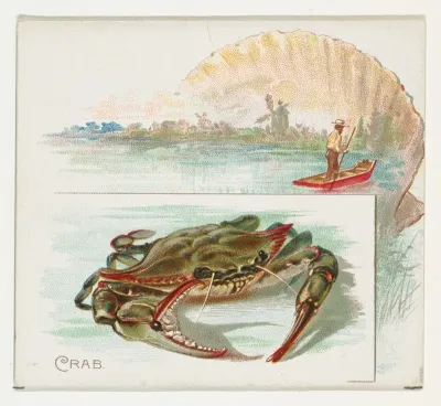 Crab, from Fish from American Waters series (N39) for Allen & Ginter Cigarettes