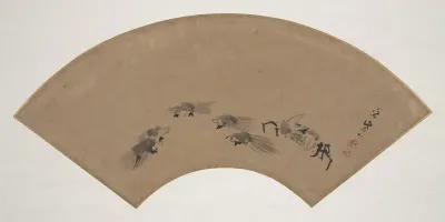 Crabs and Tortoises