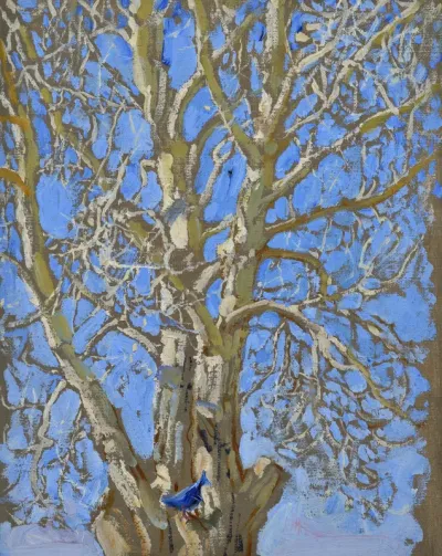 Crack Willow and Blue Bird in New Mexico