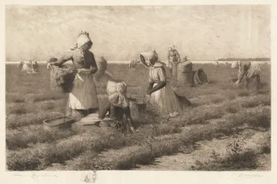 Cranberry Pickers