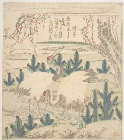 Cranes Among Young Pines Near a Stream