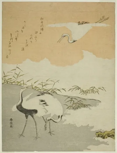 Cranes at the Sea Shore