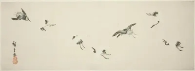 Cranes in flight