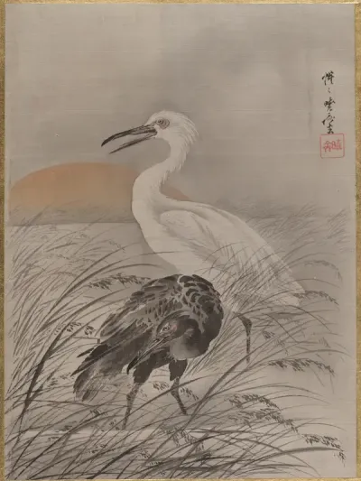 Cranes in Marsh