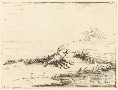 Crayfish Looking at the Sun