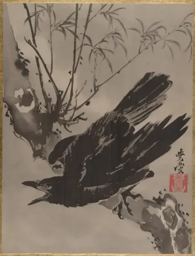 Crow on a Branch