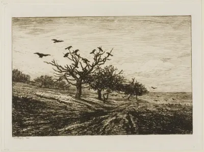 Crows in a Tree