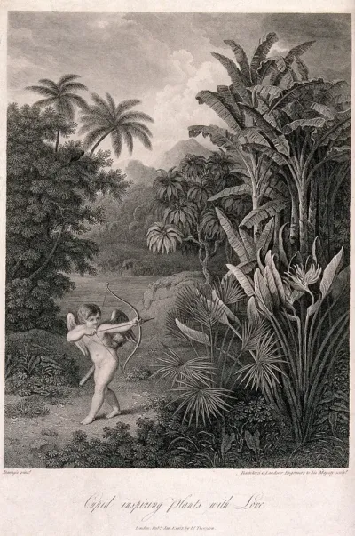 Cupid inspiring plants with Love, in a tropical landscape