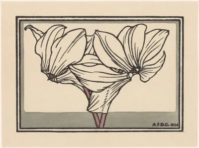 Cyclamen