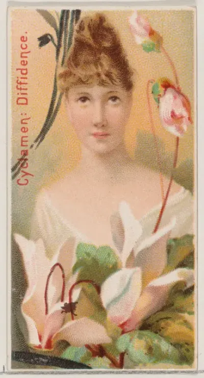 Cyclamen: Diffidence, from the series Floral Beauties and Language of Flowers (N75) for Duke brand cigarettes