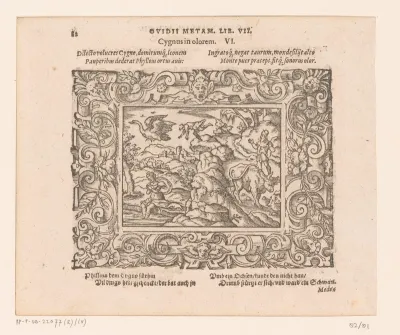 Cycnus en Phylius