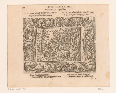 Cyparissus in een cipres veranderd