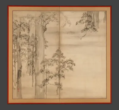Cypresses