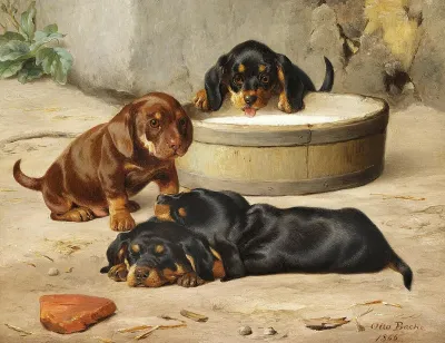 Dachshund puppies.