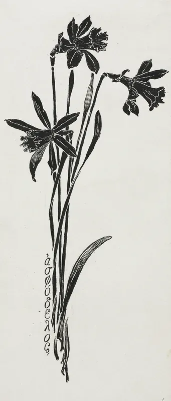 Daffodils