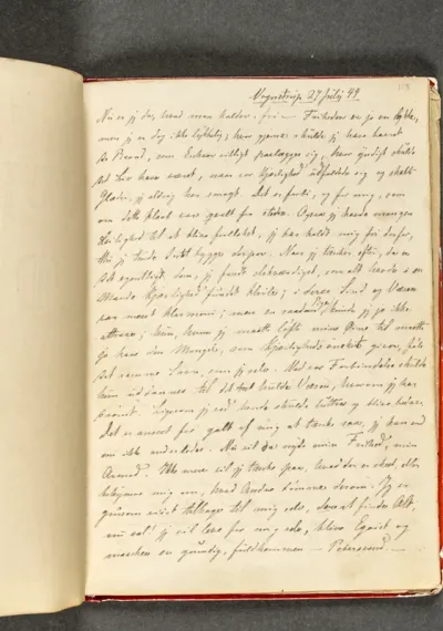 Dagbog. Side 113