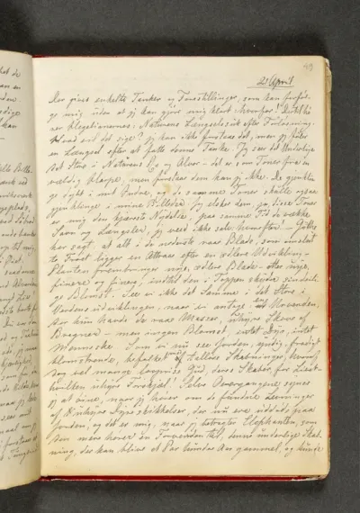 Dagbog. Side 49