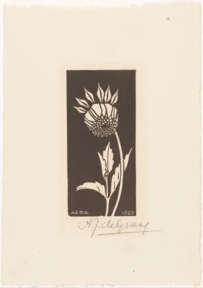 Dahlia