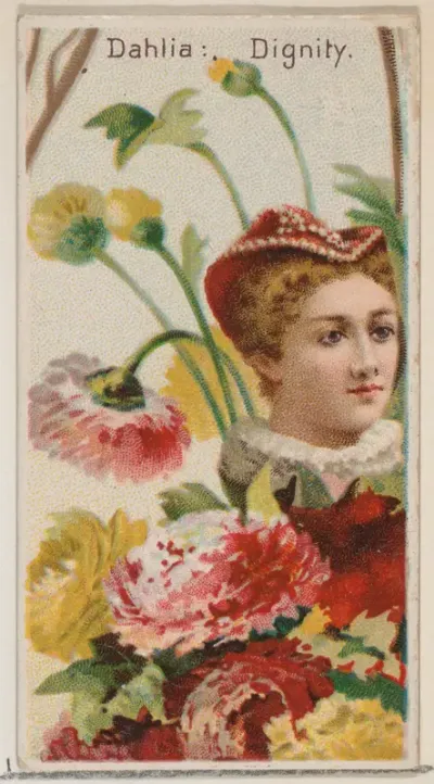 Dahlia: Dignity, from the series Floral Beauties and Language of Flowers (N75) for Duke brand cigarettes