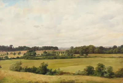 Danish summer landscape