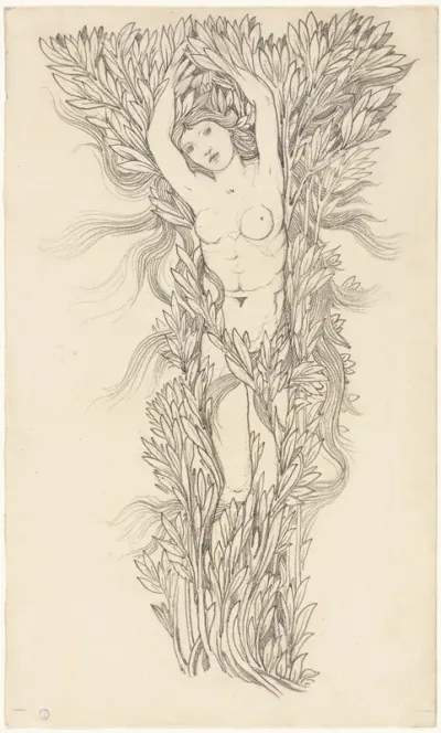 Daphne